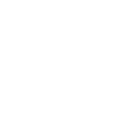 White EV-olution bumper sticker front
