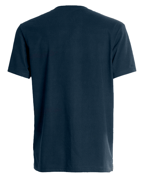 Blue EV-olution T-Shirt back