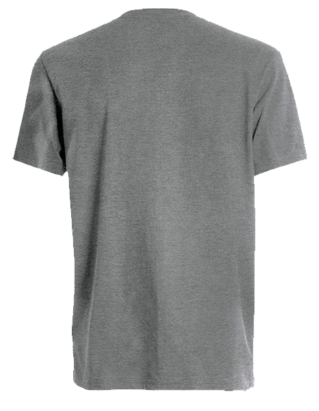 Grey EV-olution T-Shirt back
